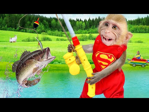 Monkey Baby Bin Bin vs Dog Amee stuck Big Fishing by Hand in the pond animal Islands revolt