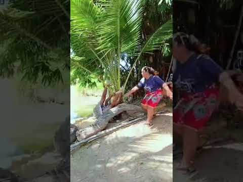 ไม่ยอมมองหลังฮามาก #funny #cneᴅɪᴛᴢ #comedy #heyㅤbnlズ #funnyjokes #memes #pʀᴇsᴇʀғғ #humor #fun