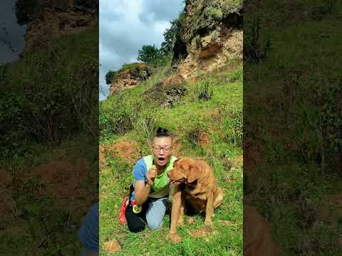 Rural life: If you don’t have a dog, you don’t know the fun of raising a dog #1