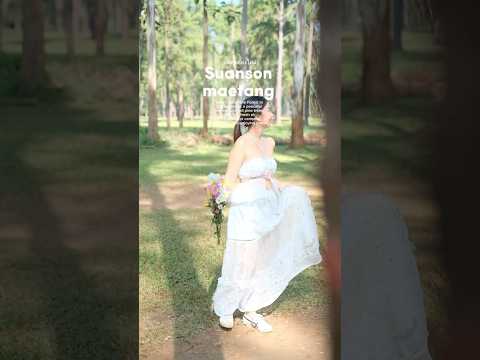 สวนสนแม่แตงเชียงใหม่แวะถ่ายรูปน่ารักๆกับแนวทิวสนสวยๆเที่ยวเช We Journey : วี เจอนี่ สวนสนแม่แตงเชียงใหม่แวะถ่ายรูปน่ารักๆกับแนวทิวสนสวยๆเที่ยวเช