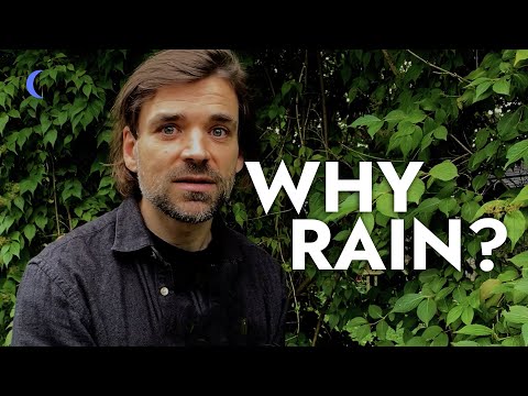 Why We find Comfort in Rain and Thunder Sounds - Cultural Roots of Relaxation