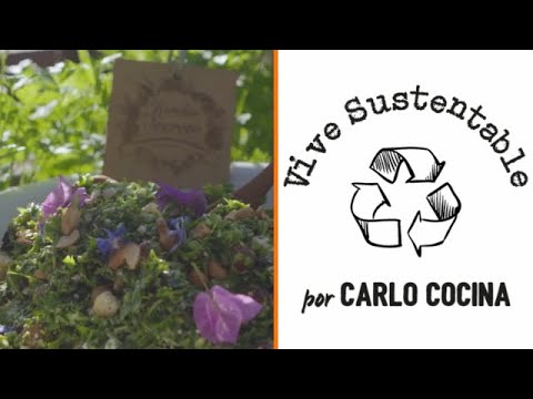 Ensalada de perejil con menta y albahaca: receta fácil y saludable de Vive Sustentable