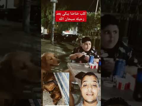 شاهد كلب ضاضا ابن اسماعيل الليثي يبكي بالدموع بعد رحيله سبحان الله