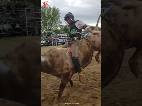 Excelente monta 🤠🐂 #jaripeo