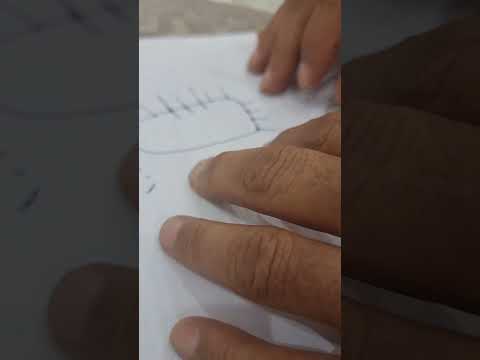 تنوع النبات سعاده