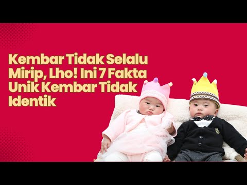7 Fakta Menarik Seputar Kembar Fraternal #kehamilan #fraternal #ibuhamil #hamil #ibuhamil