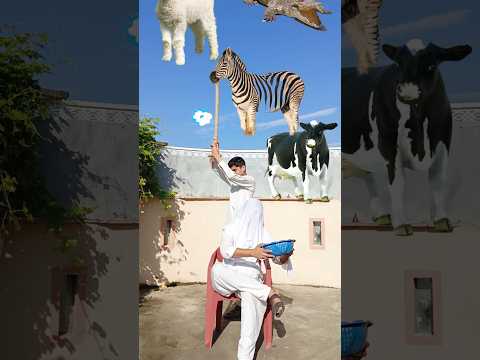 Catching Halal Animals #youtubeshorts #proudtobemuslim