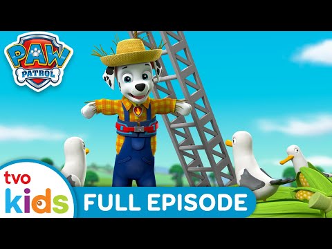 Pups Save a Popped Top 🌾 | 🐾 PAW PATROL 🐶 | Rescue Dogs Help Adventure Bay 🏡 | Season 4 | TVOkids