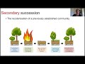 Secondary Succession Concepts