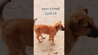 nayak khal nayak hun mai #trendingvideo