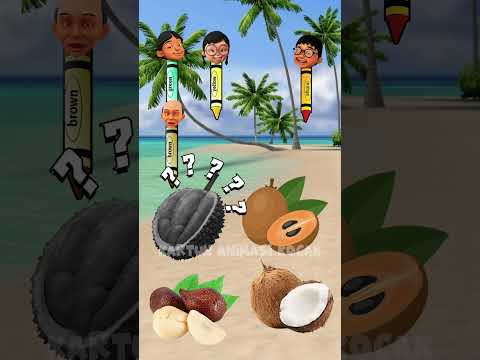Durian warna coklat??? #kartun #shorts #cartoon #viralvideo