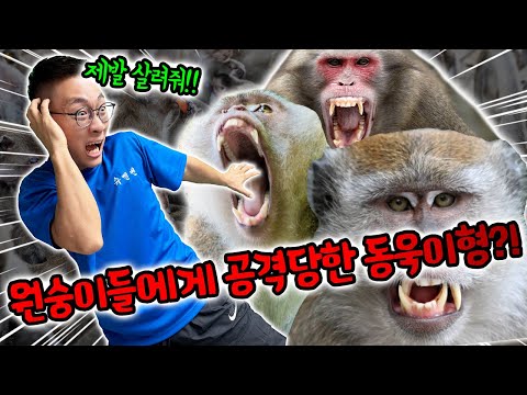 5초만에 원숭이에게 공격당한 동욱이형.. 다시 한국으로 간다고?!