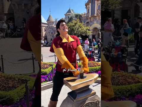 سر سيف ديزني لاند