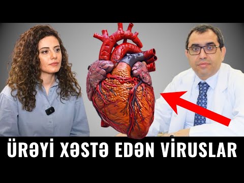 Ürək xəstəliyi yaradan VİRUSLAR - Həkim xəbərdarlıq edir