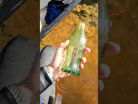 REAL LIFE JURASSIC PARK