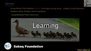 Learning Behavior