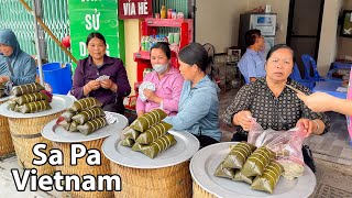 Vietnam Sa Pa Gezimiz 2025 - Köyler, Pazarlar ve Pirinç Tarlaları