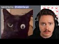 Humorous Challenges and Gaming Insights