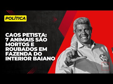 CAOS PETISTA: 7 ANIMAIS SÃO MORTOS E ROUBADOS EM FAZENDA DO INTERIOR BAIANO