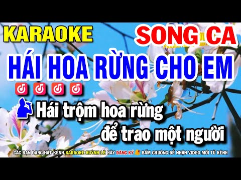 Hái Hoa Rừng Cho Em Karaoke Song Ca (C#m) Nhạc Sống 2025 | Huỳnh Lê