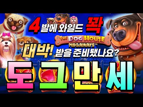 [한방슬롯]🔥더 도그하우스 메가웨이즈 : THE DOGHOUSE MEGAWAYS🔥 4발뜨고 와일드 채우고!! 이거다!! #슬롯생방송 #온라인슬롯 #프라그마틱슬롯 #슬롯실시간