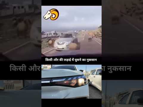 beech me nahi aane ka 🥷