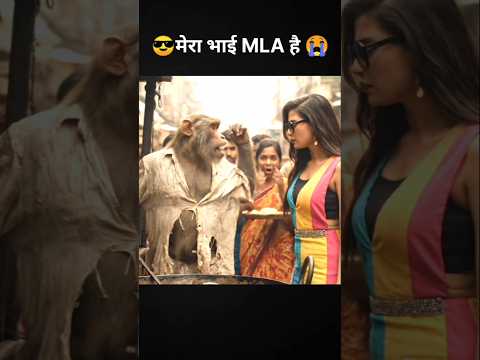 Monkey Saved by MLA | Police Hit Street Vendor Monkey Frying Puris | Animated Drama