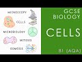 Cell Biology and Microscopy Concepts