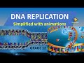 DNA Replication Concepts and Processes