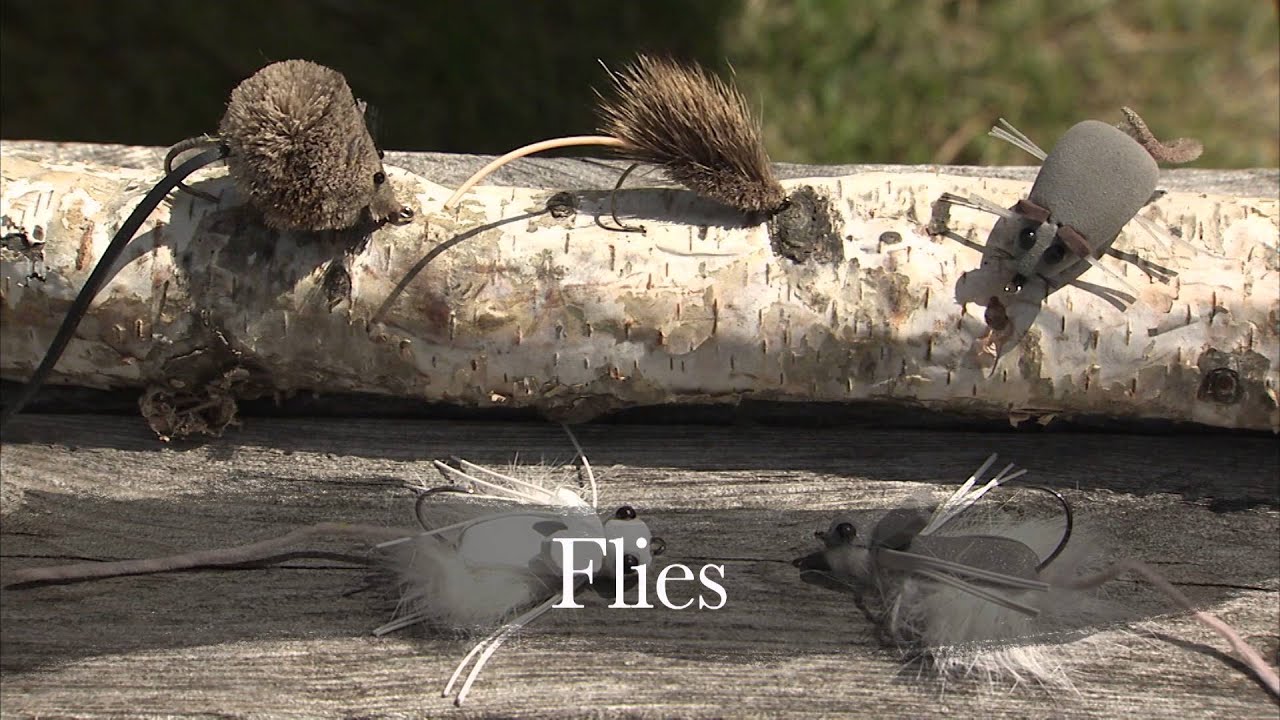 Sutton River Trout with Hearst Air Service - Ontario - The New Fly Fisher