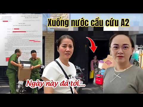 Chiều 21/2: Sát Ngày Phúc Thẩm Cô 6 Xuống Nước Cầu Cứu Vợ A2, Hồng Loan Làm Điều Này Hưởng 100%