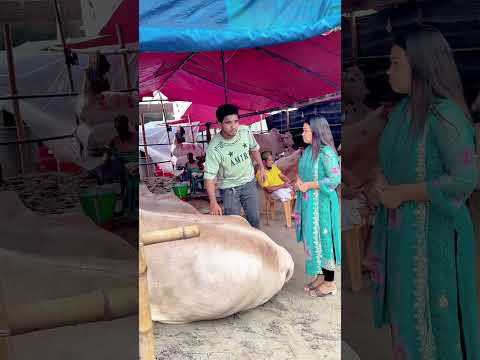 গরু কিনতে এসে যা হলো #shortsvideo #funny #vairalshort