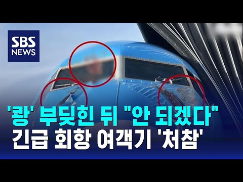 '쾅' 부딪힌 뒤 "안 되겠다"…긴급 회항 여객기 '처참' / SBS / 오클릭