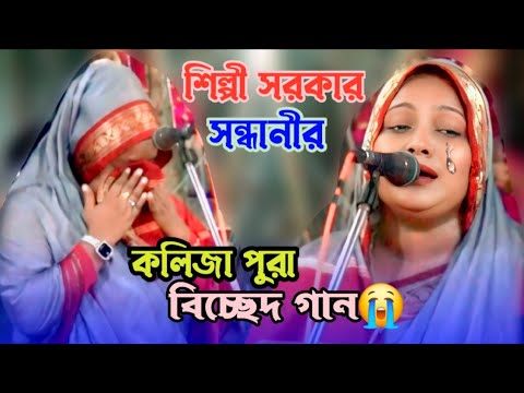 আমার দয়াল আইনা দেখাও দেখি | বাউল বিচ্ছেদ গান | শিল্পী সরকার সন্ধানী | Baul Bangla gaan