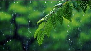 Gentle Piano & Rain Sounds 🌧️ Fall Asleep Fast with Nature & Birdsong for Deep Relaxation