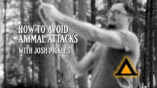 How to Avoid Animal Attacks with Josh Pickles | An "In Tents" Film