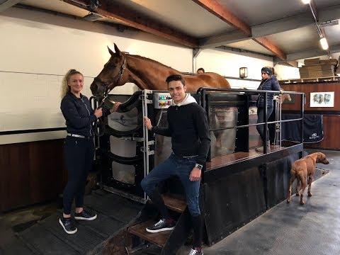 DRESSAGE HORSE TRIES AQUATRAINER PART 2|| MATT HARNACKE