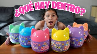 HUEVOS MISTERIOSOS | Guzmancitos