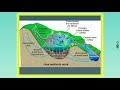 Wetlands and Estuaries: Functions and Importance