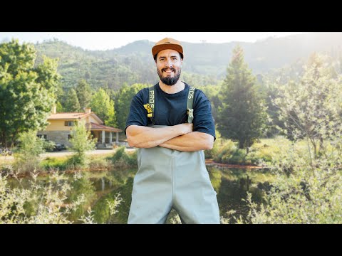 From Chaos to Clean: Fixing My Pond & Creek