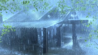 Immerse Yourself in Fast Asleep with Powerful Thunder & Heavy Rain Pouring Down on the Old Tin Roof