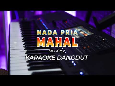 MAHAL  || KARAOKE  || MEGGY Z || DANGDUT ORIGINAL || NADA PRIA - HQ AUDIO