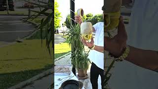 Turkish Kabob! Turkish Clay Pot Kabob!