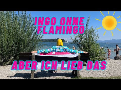 Aber ich lieb das - Ingo ohne Flamingo