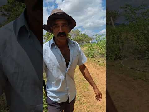 Bora correr seu Zé #humor