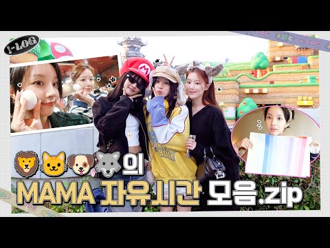 MAMA 자유시간 모음.zip [l-LOG] #43 🦁😺🐶🐺 | (여자)아이들 ((G)I-DLE)ㅣSUB