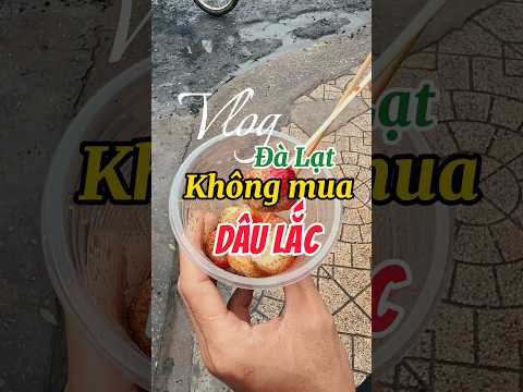 TUYỆT ĐỐI không mua DÂU LẮC ở chợ Đà Lạt | Thanh Tiger