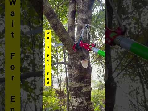 Simple powerfull wood cutter hightechnology machine🫢👌!#shorts #trendingshorts #viralvideo #short