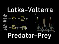 Lotka-Volterra Model Concepts