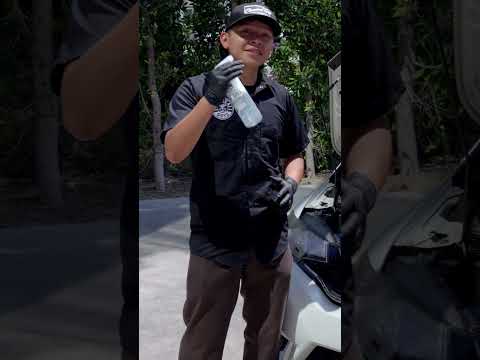 Clean Your Car's DIRTY Engine Bay the EASY Way!
